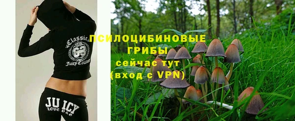 эйфоретик Алексин