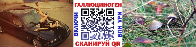 Псилоцибиновые грибы Psilocybe Балаково